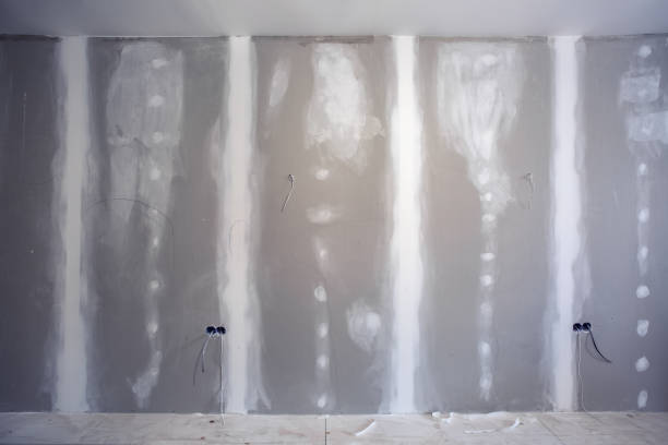 Best Water-Damaged Drywall Repair  in USA